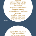 insurance search terms